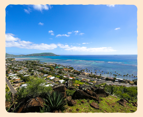 Hawaii Loa Ridge